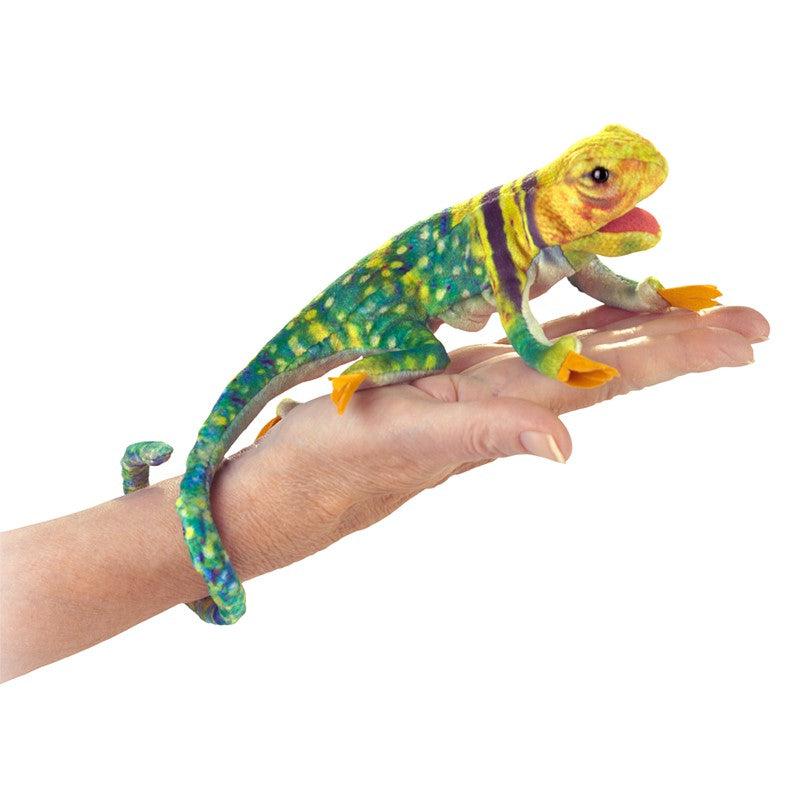 Front side view of the Mini Collared Lizard on a person's hand.