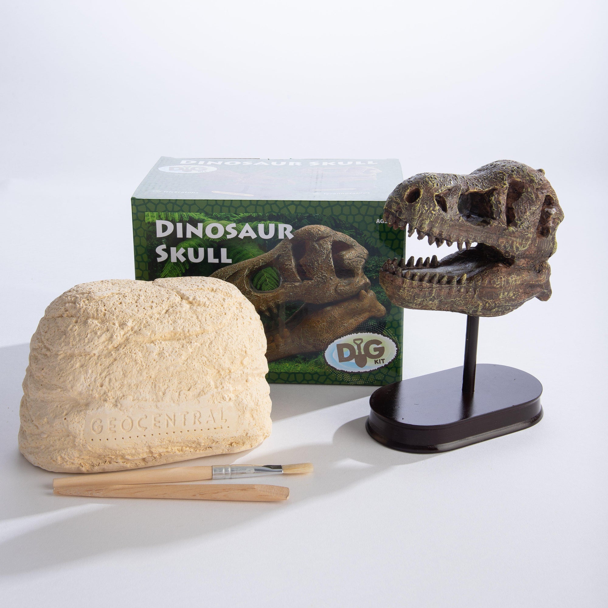Excavation Kit: Dinosaur Skull-Science & Discovery-Geocentral-Yellow Springs Toy Company