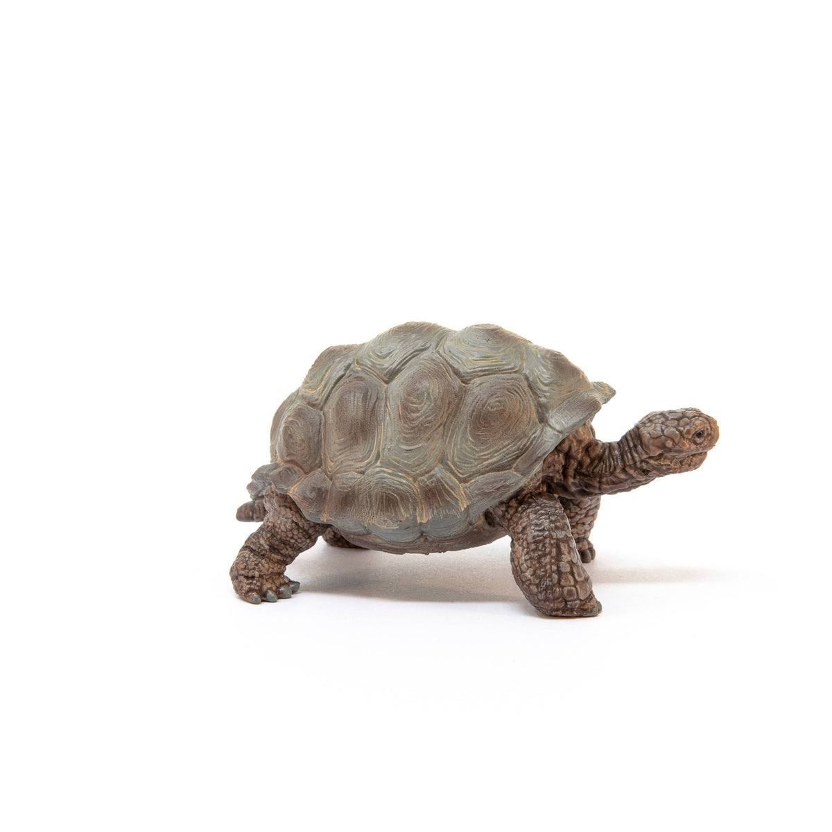 Giant Tortoise Animal Toy-Schleich-Yellow Springs Toy Company