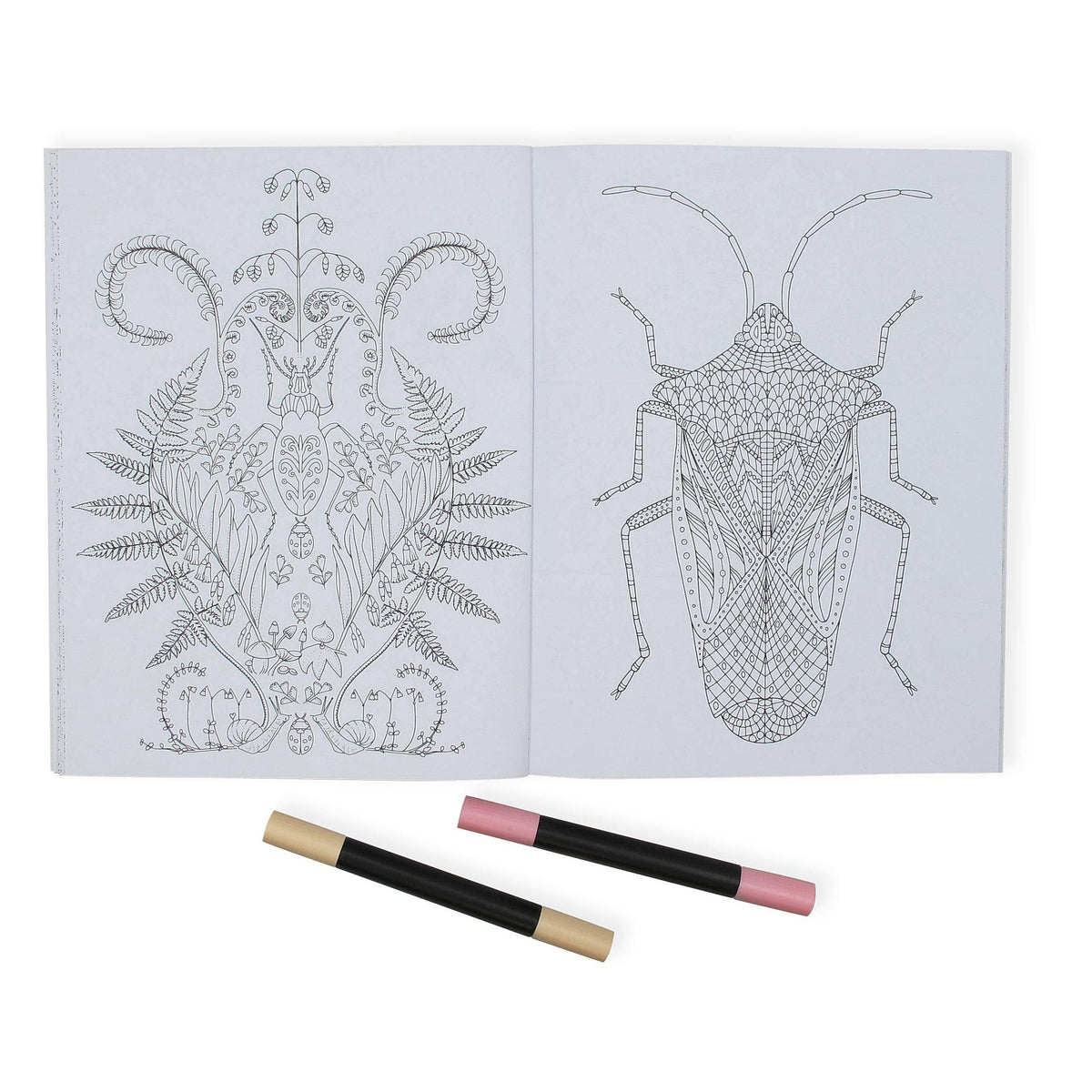 Wonderful Insects Coloring Book-SCB-Yellow Springs Toy Company