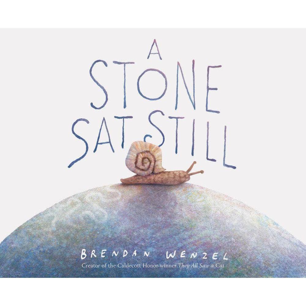 A Stone Sat Still-Chronicle Books-Yellow Springs Toy Company