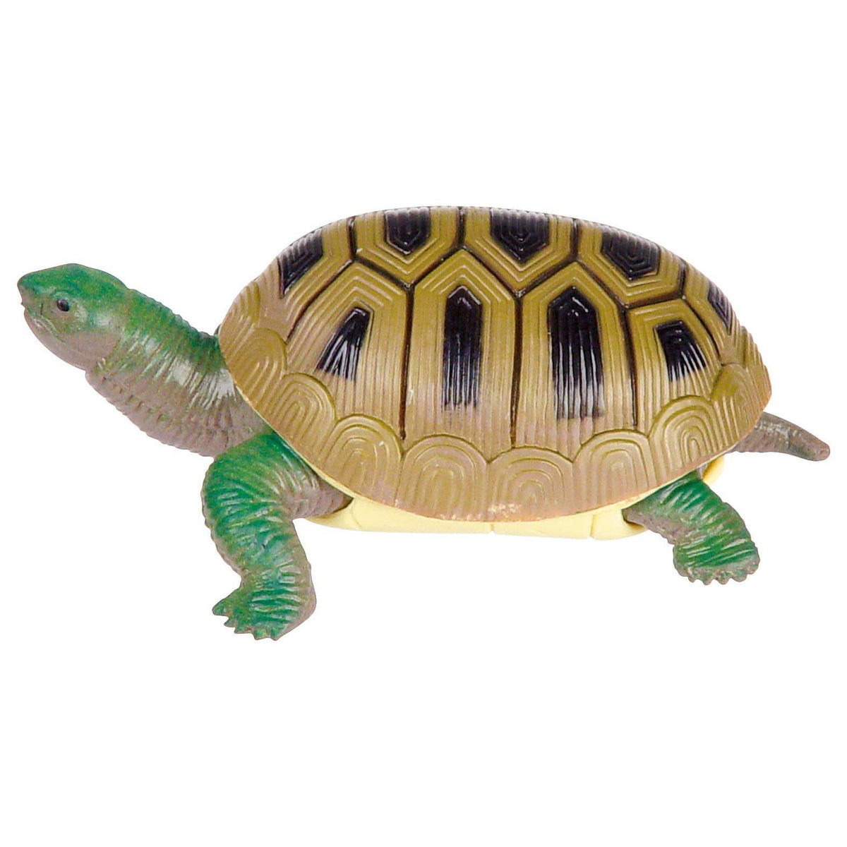 Turtle Squishimals-Toysmith-Yellow Springs Toy Company