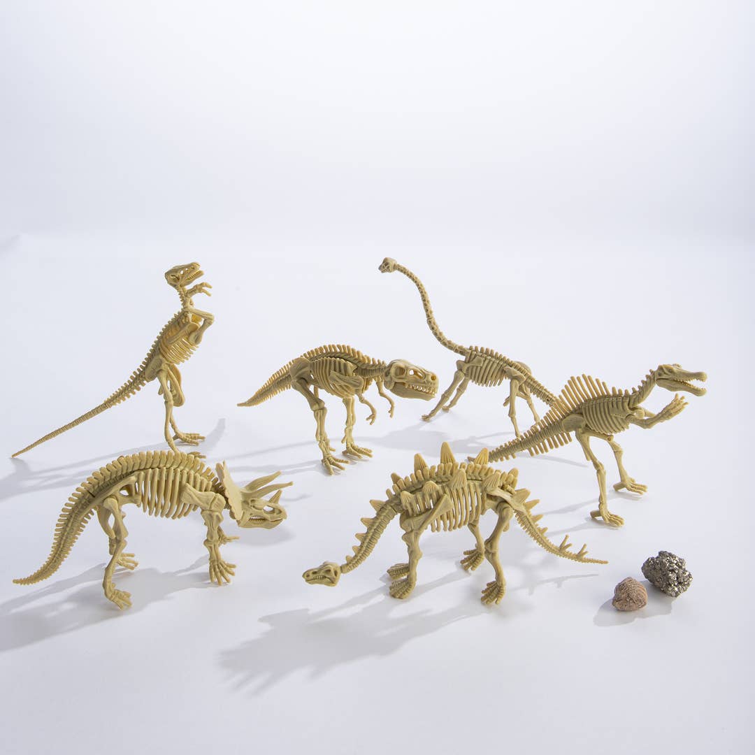 Dig Kit: Dinosaur Skeleton-GeoCentral-Yellow Springs Toy Company