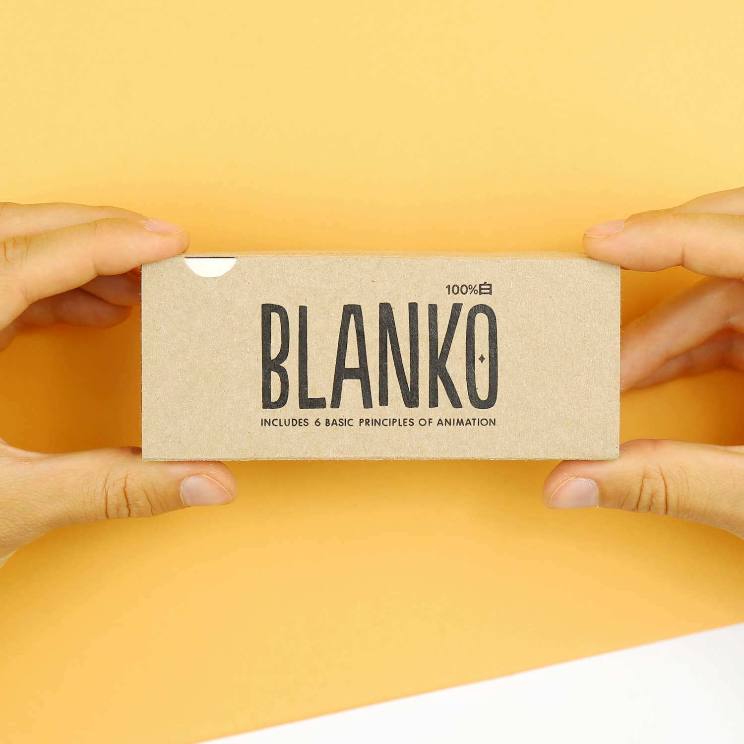 Blanko - Freestyle Animation Flipbook-Flipboku-Yellow Springs Toy Company