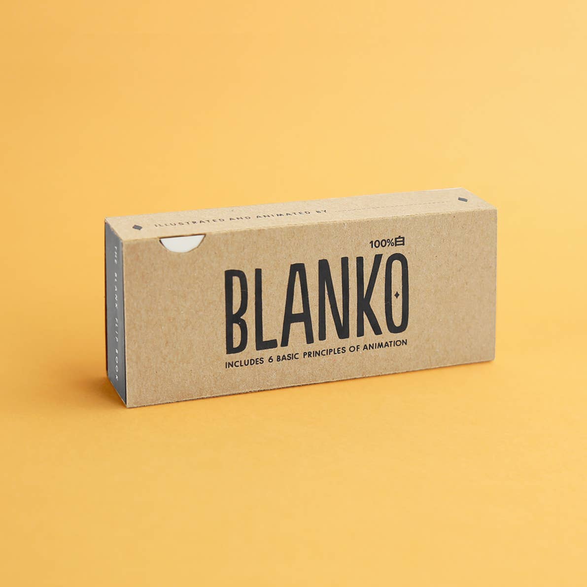 Blanko - Freestyle Animation Flipbook-Flipboku-Yellow Springs Toy Company