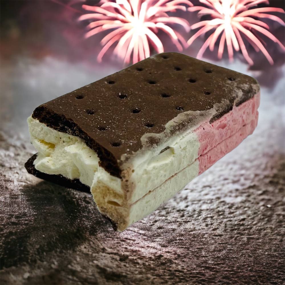 LuvyDuvy Freeze Dried Neapolitan Ice Cream Sandwich-TEDCO Toys-Yellow Springs Toy Company