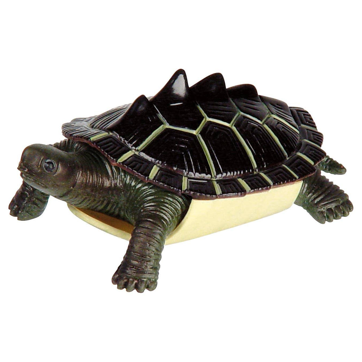 Turtle Squishimals-Toysmith-Yellow Springs Toy Company