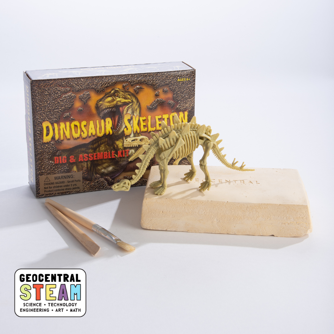 Dig Kit: Dinosaur Skeleton-GeoCentral-Yellow Springs Toy Company