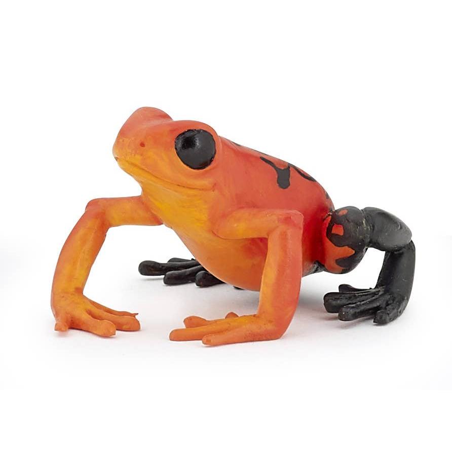 Equatorial Red Frog-Papo-Yellow Springs Toy Company