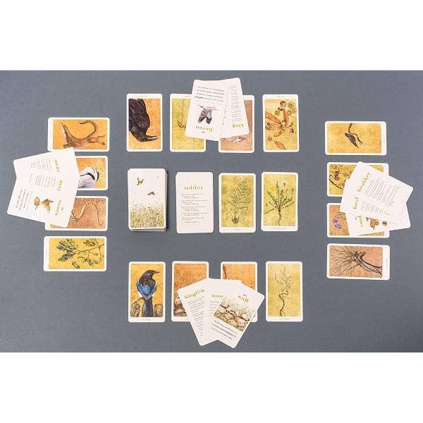 The Lost Words Card Game-SCB-Yellow Springs Toy Company