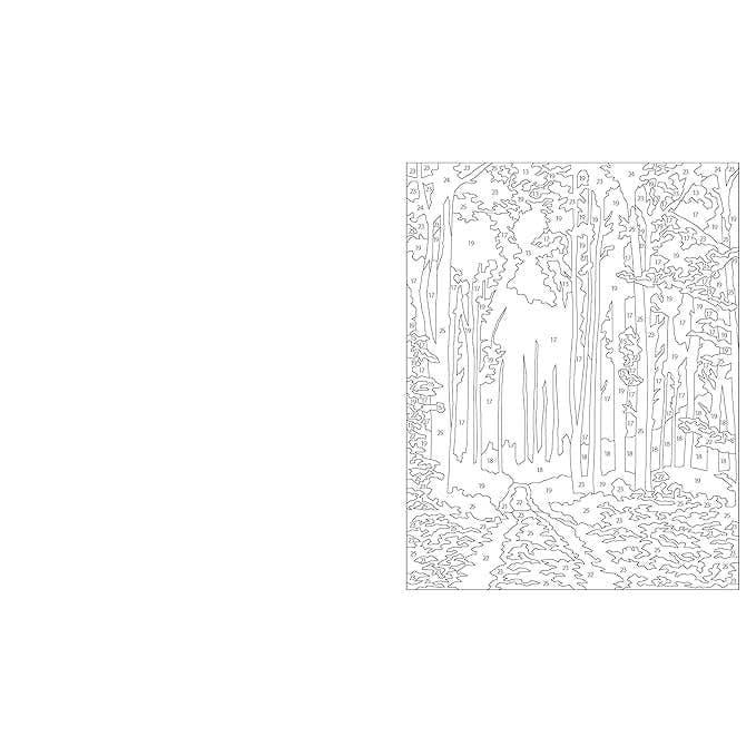 Large Print Meditation Colour By Numbers-Arts & Humanities-Texas Bookman-Yellow Springs Toy Company