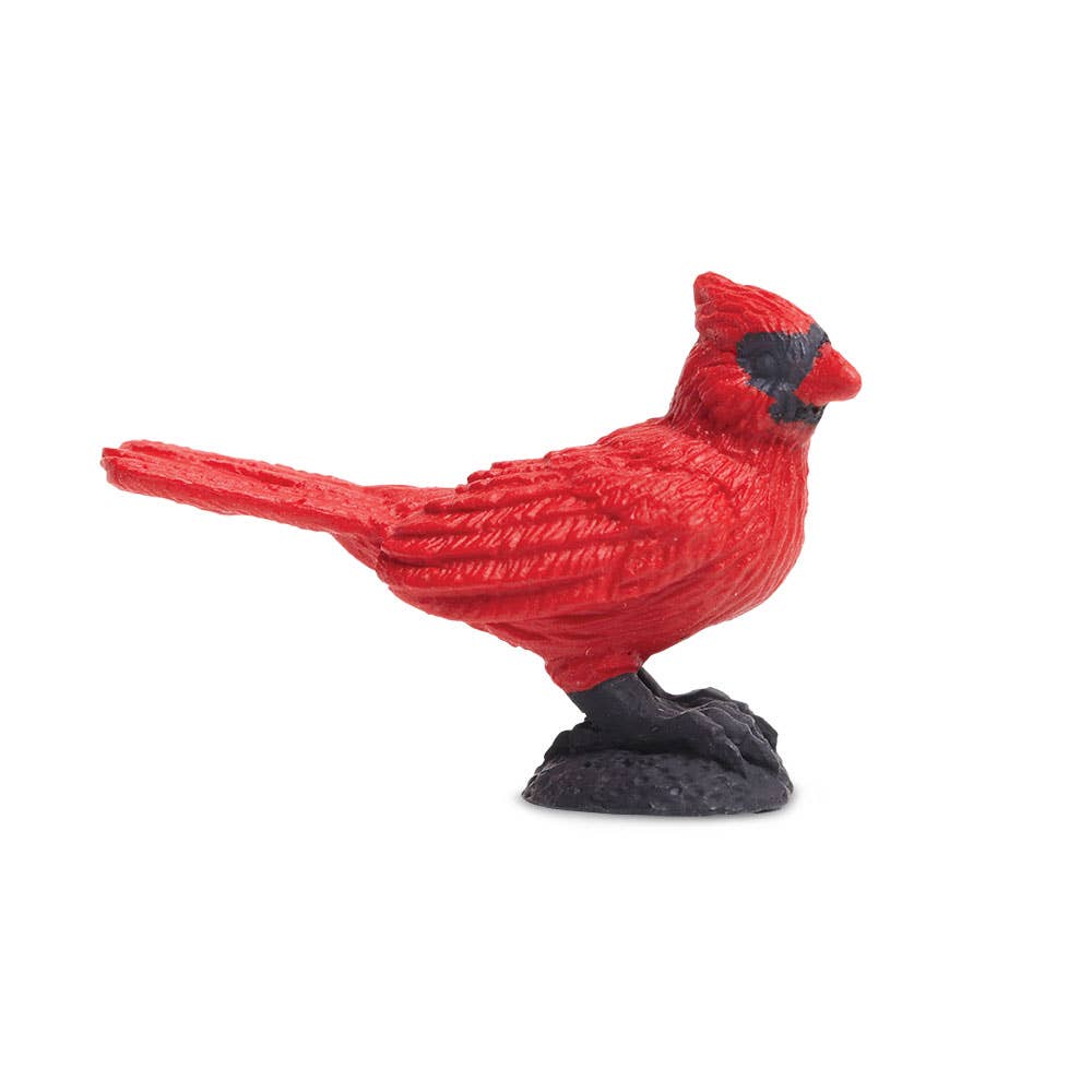 Front view of the Cardinal Good Luck Mini.