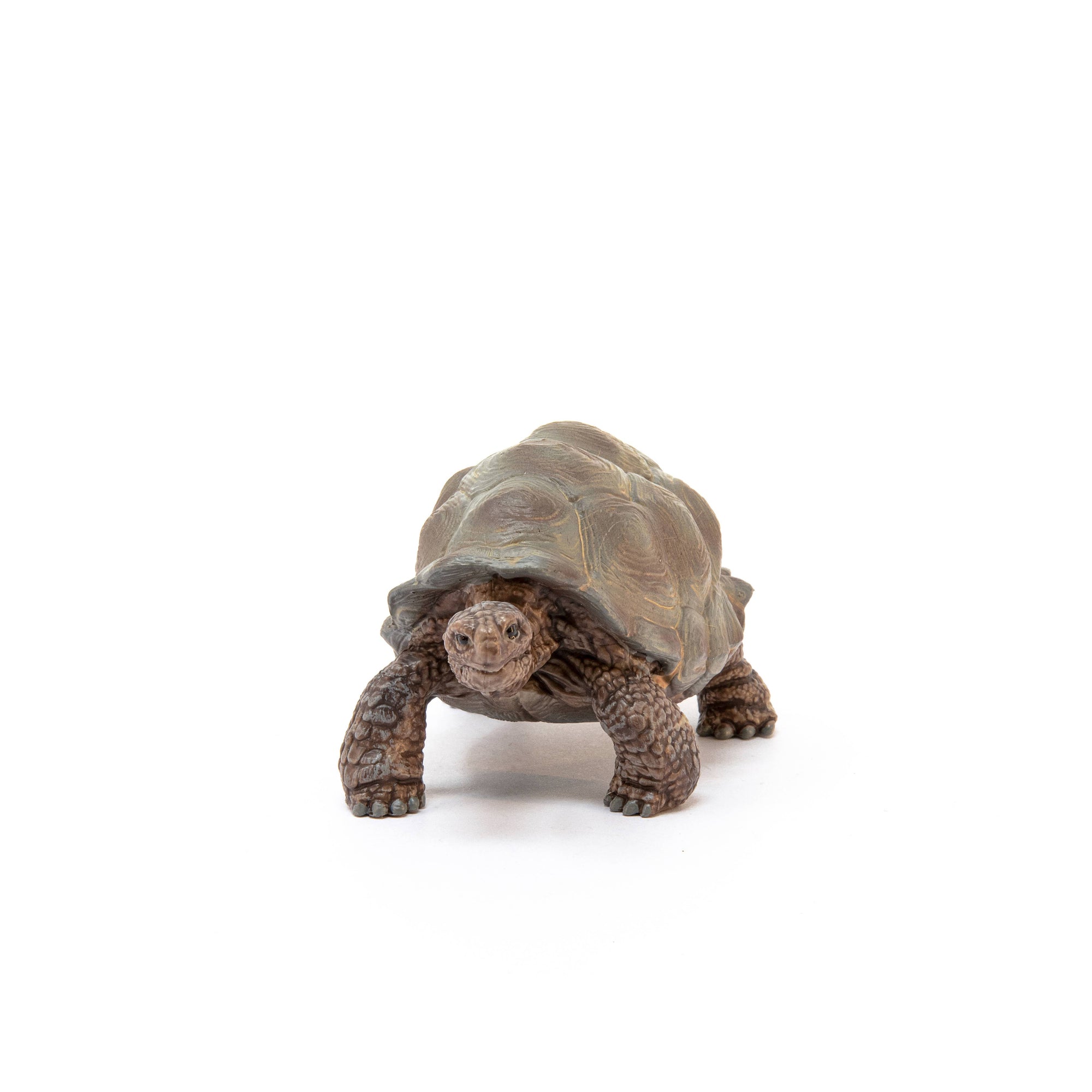 Giant Tortoise Animal Toy-Schleich-Yellow Springs Toy Company
