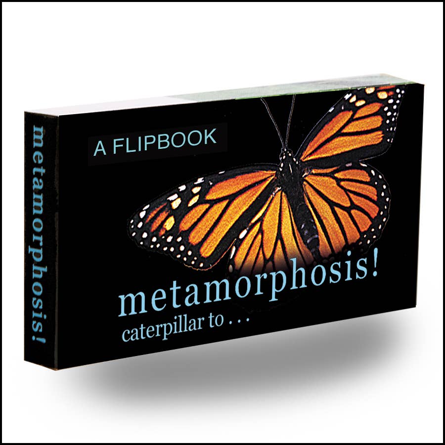 Butterfly Metamorphosis Flip book-Fliptomania-Yellow Springs Toy Company