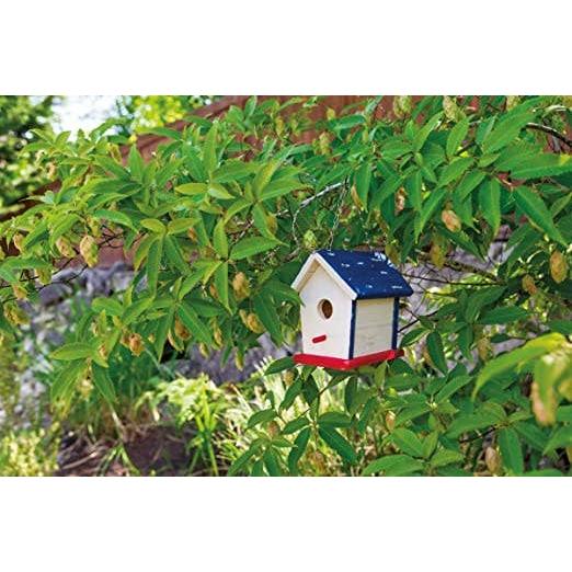 Beetle & Bee Paint A Bird Base, Backyard Birdhouse Kit-Toysmith-Yellow Springs Toy Company