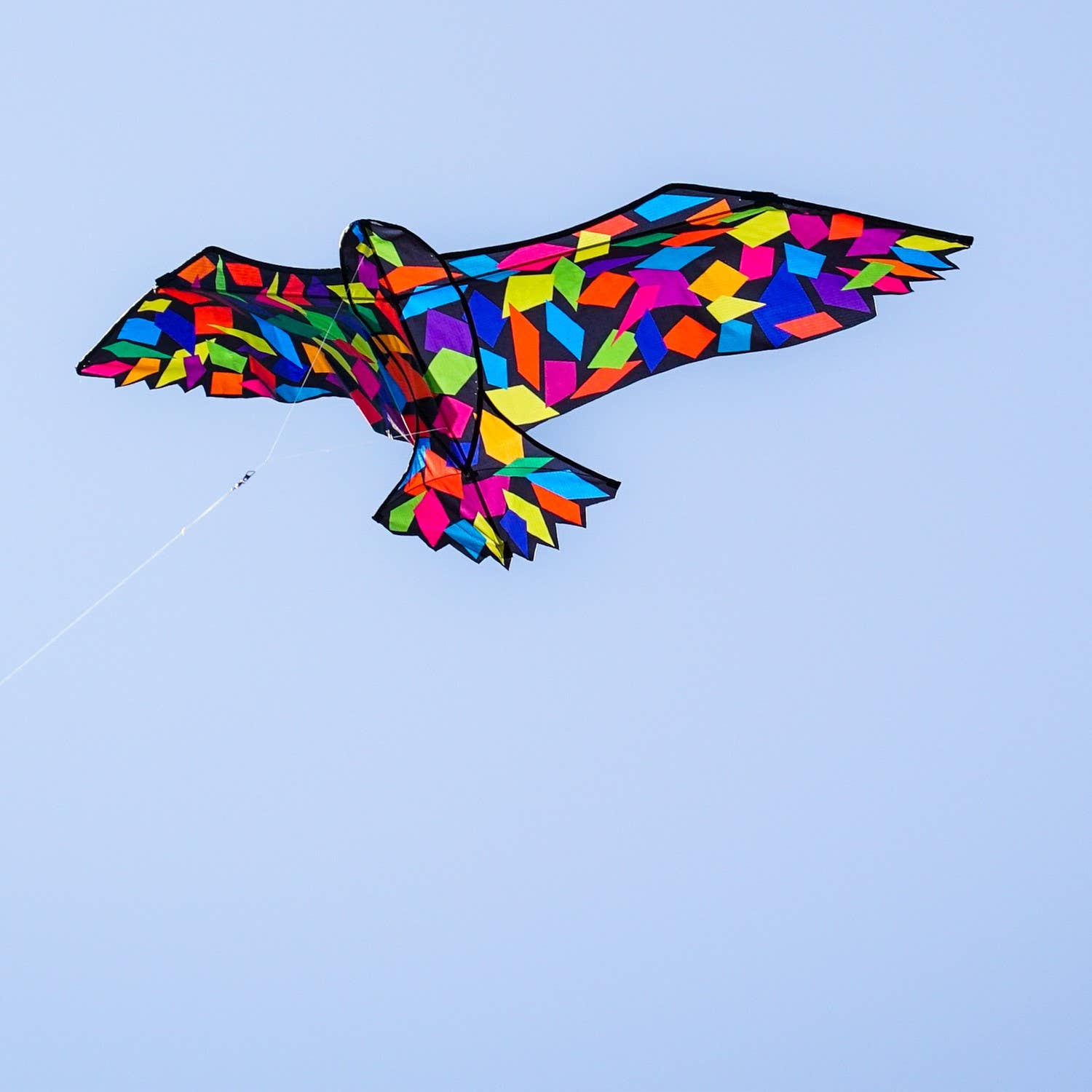 70" Confetti Bird Kite-In the Breeze, LLC.-Yellow Springs Toy Company