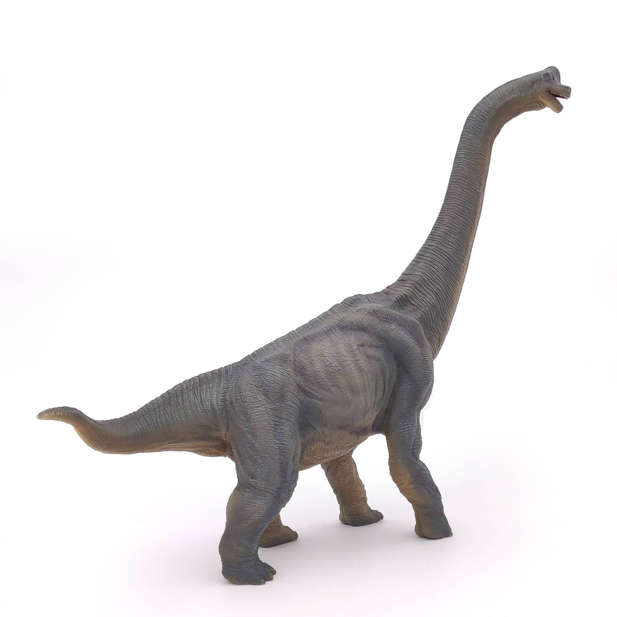 Brachiosaurus-Papo-Yellow Springs Toy Company