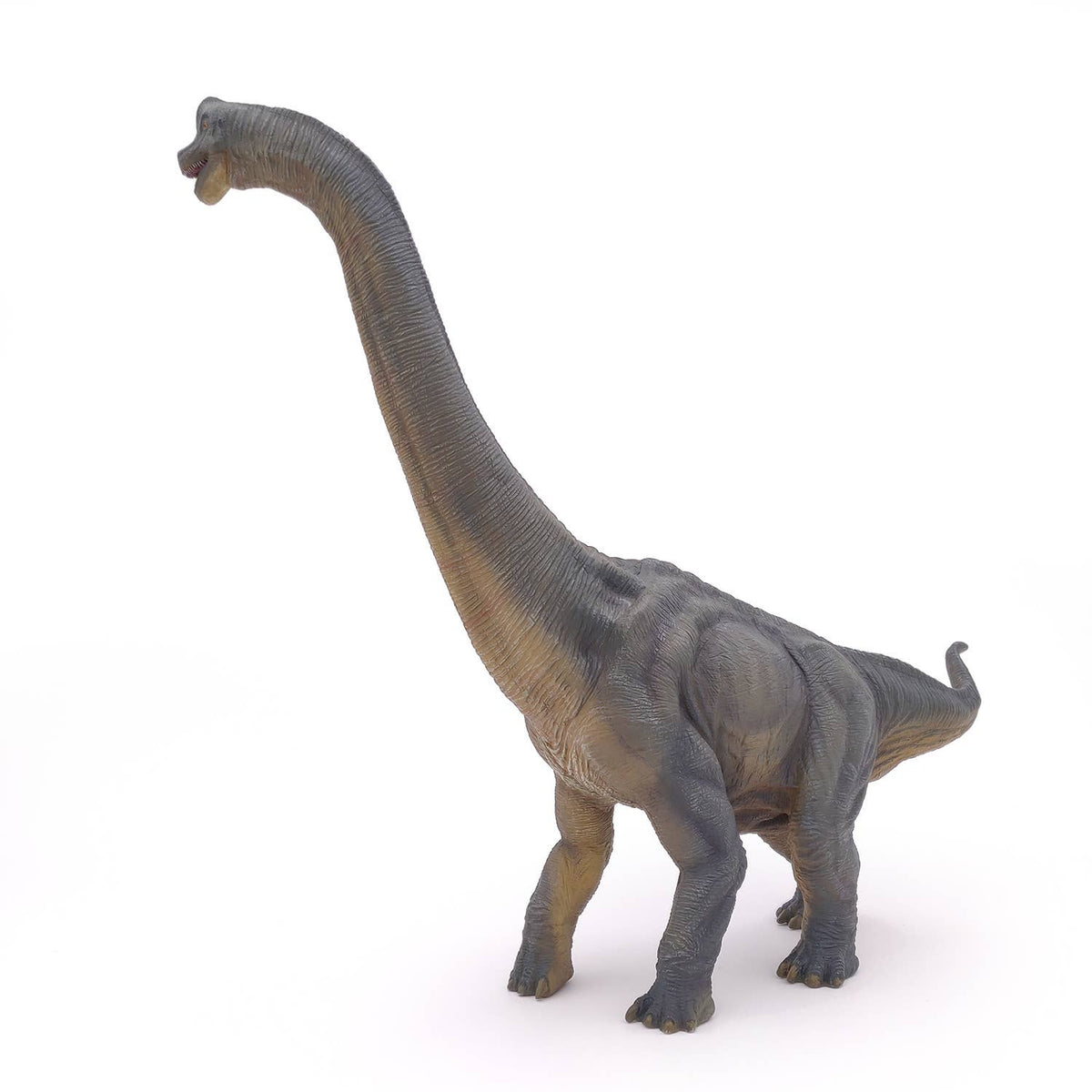 Brachiosaurus-Papo-Yellow Springs Toy Company