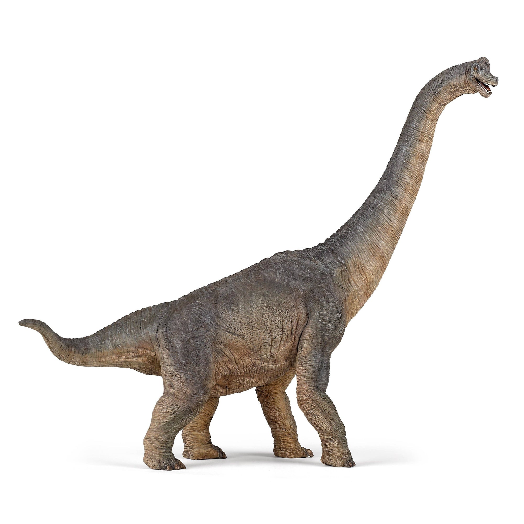 Brachiosaurus-Papo-Yellow Springs Toy Company