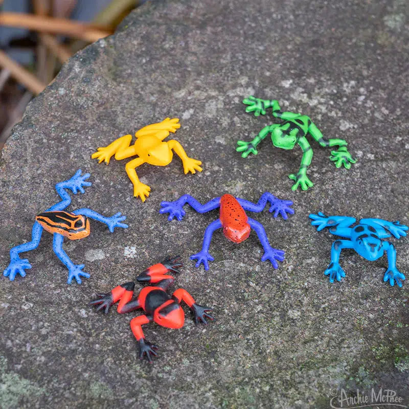 Front view of Itty Bitty Poison Dart Frogs-Bag of 12 in packaging and out.