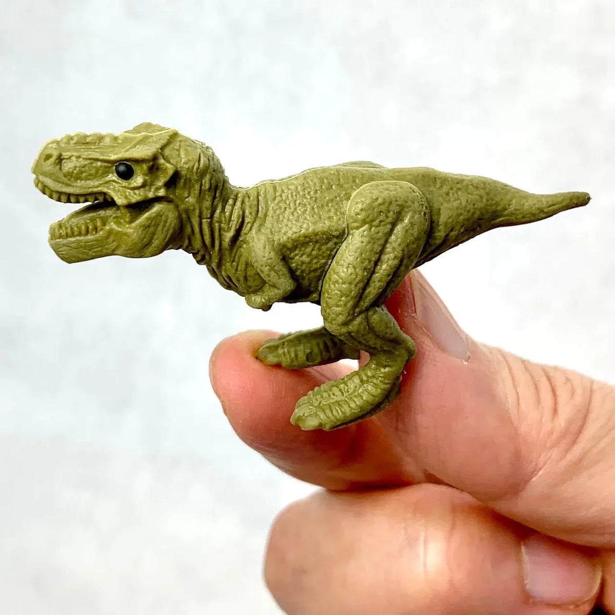 Front view of a person&#39;s fingers holding the green T Rex Dinosaur Eraser.