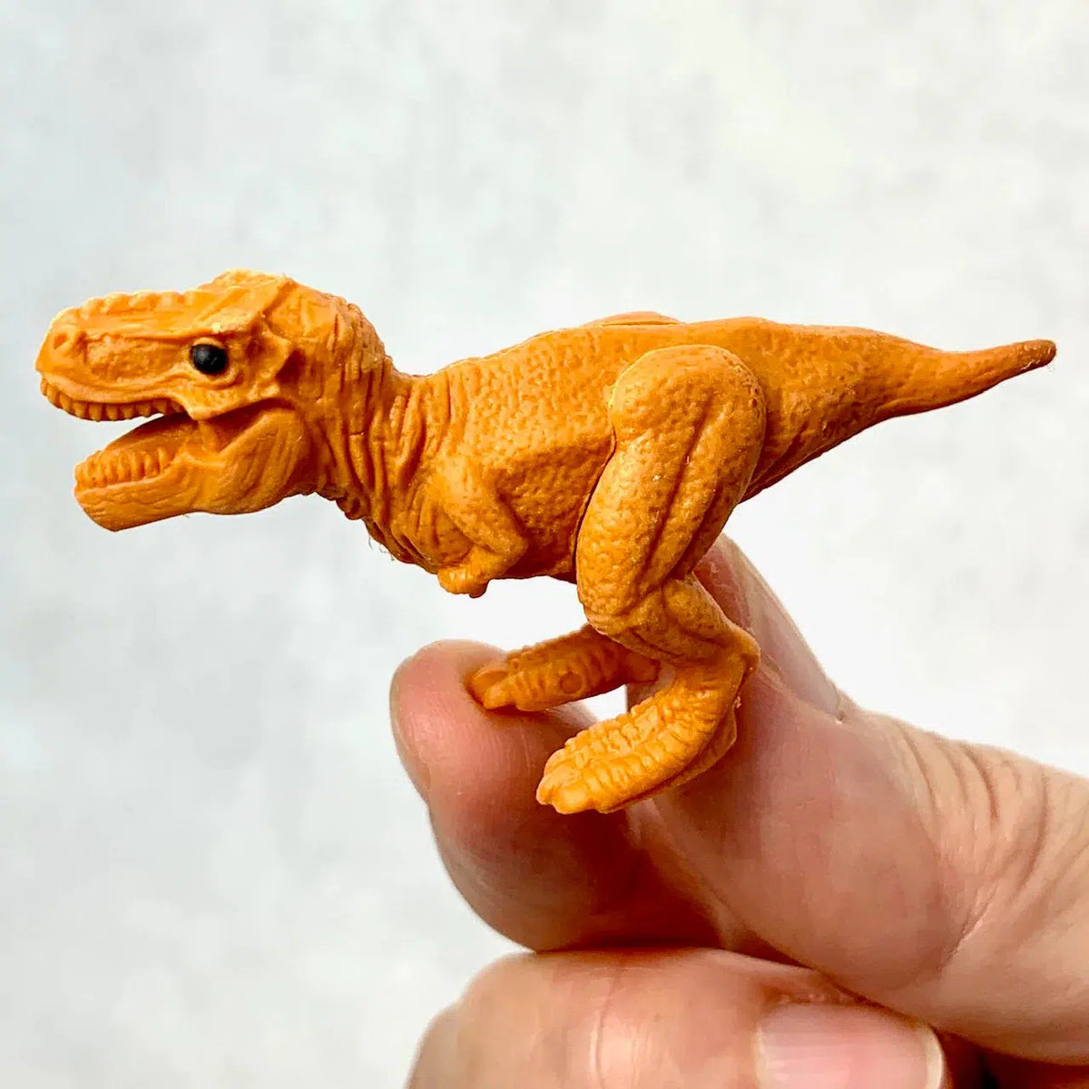 Front view of a person&#39;s fingers holding the orange T Rex Dinosaur Eraser.