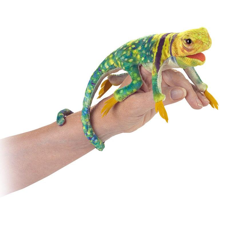 Front slight side view of the Mini Collared Lizard on a person&#39;s hand.