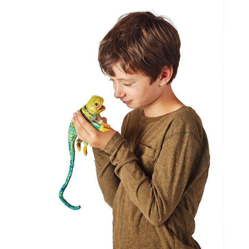 Front view of a young boy holding the Mini Collared Lizard.