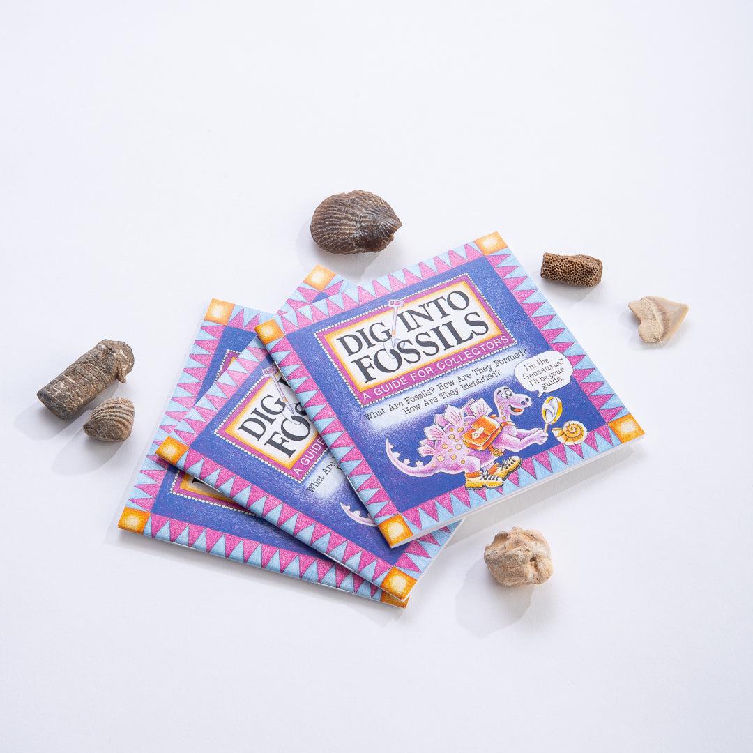Dig Into Fossils-Stationery-Yellow Springs Toy Company