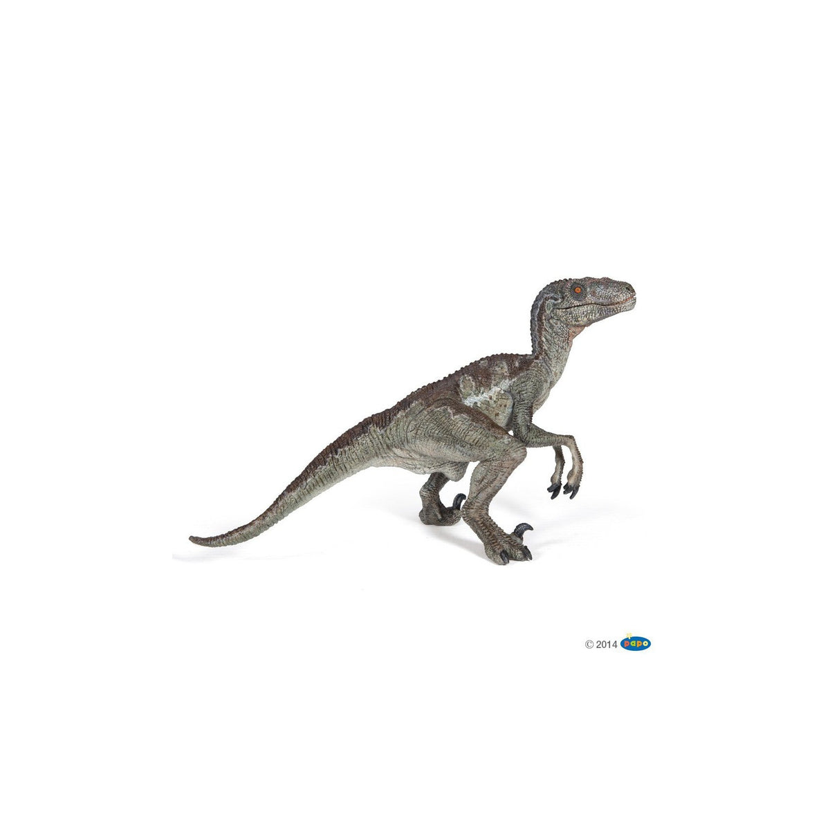 Papo - Velociraptor-Pretend Play-Papo | Hotaling-Yellow Springs Toy Company