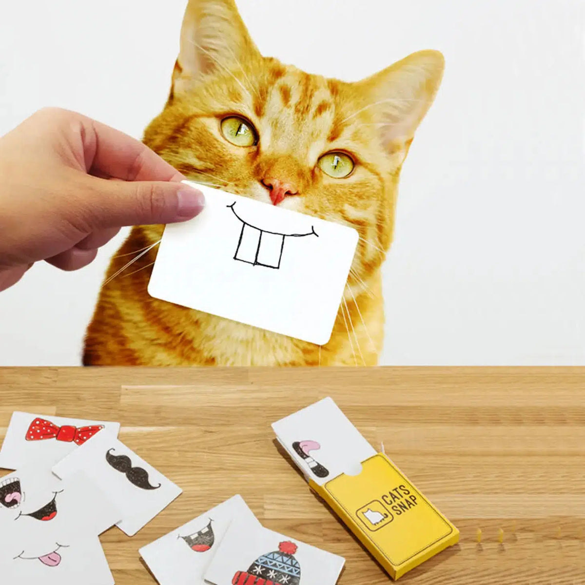 Front view of a person holding up a Cats Snap card in front of their cats mouth.