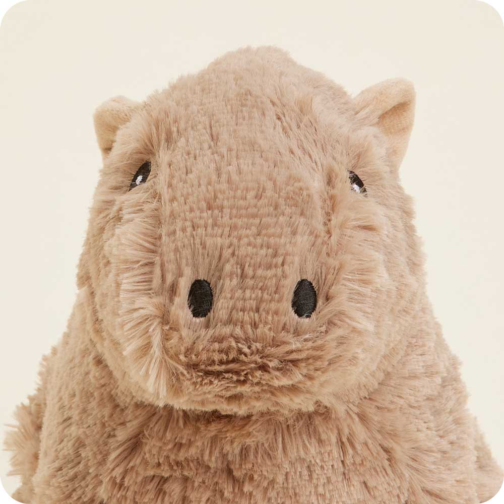 Capybara Warmies-Stuffed &amp; Plush-Warmies-Yellow Springs Toy Company