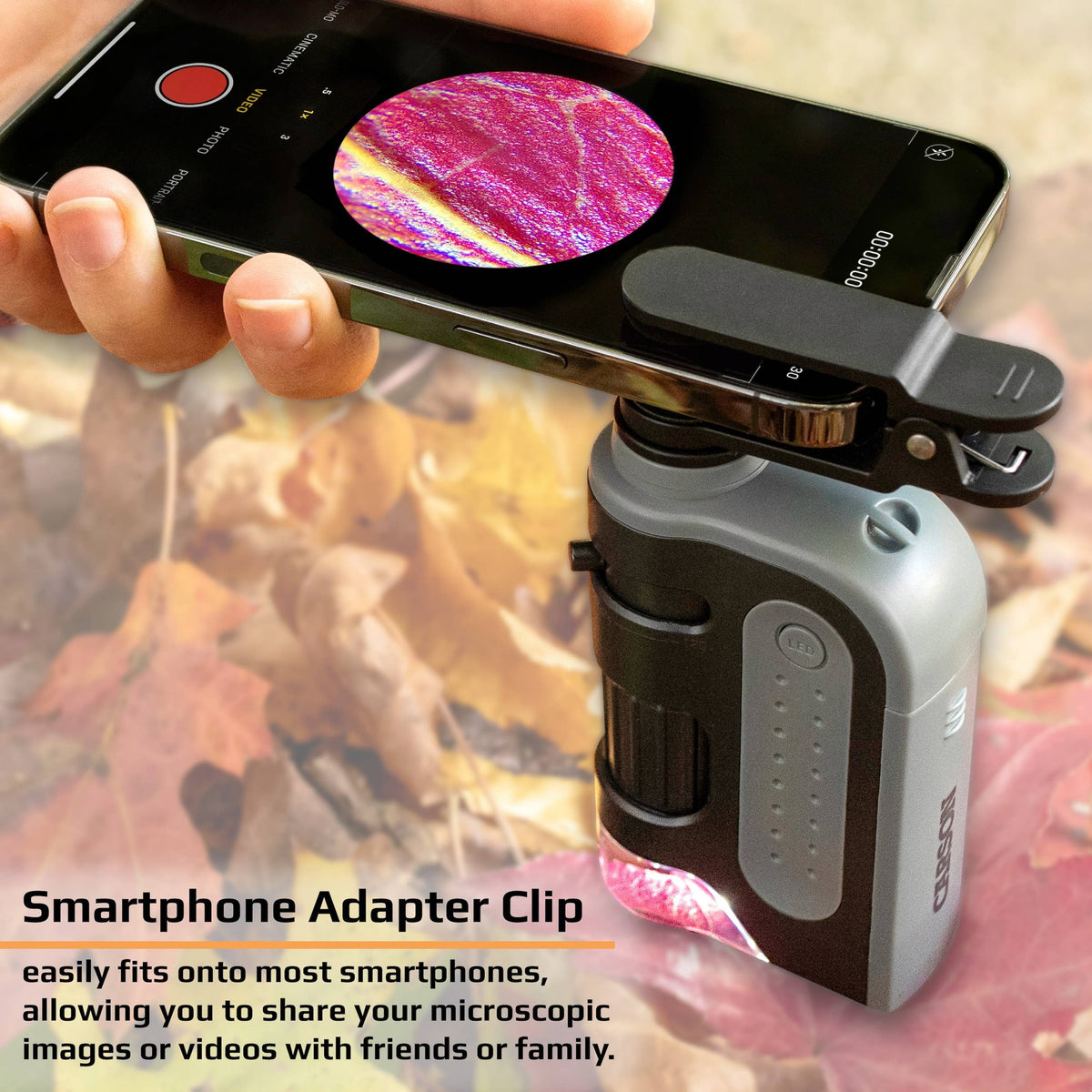 Pocket Microscope & Smartphone Adapter Clip, for Digiscoping-Carson-Yellow Springs Toy Company
