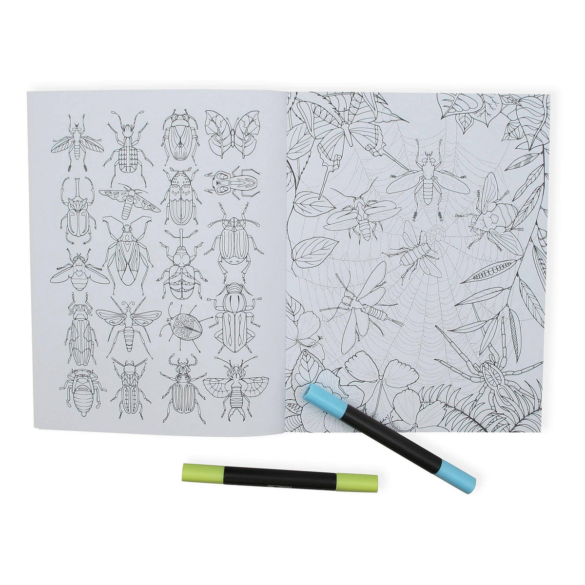 Wonderful Insects Coloring Book-SCB-Yellow Springs Toy Company