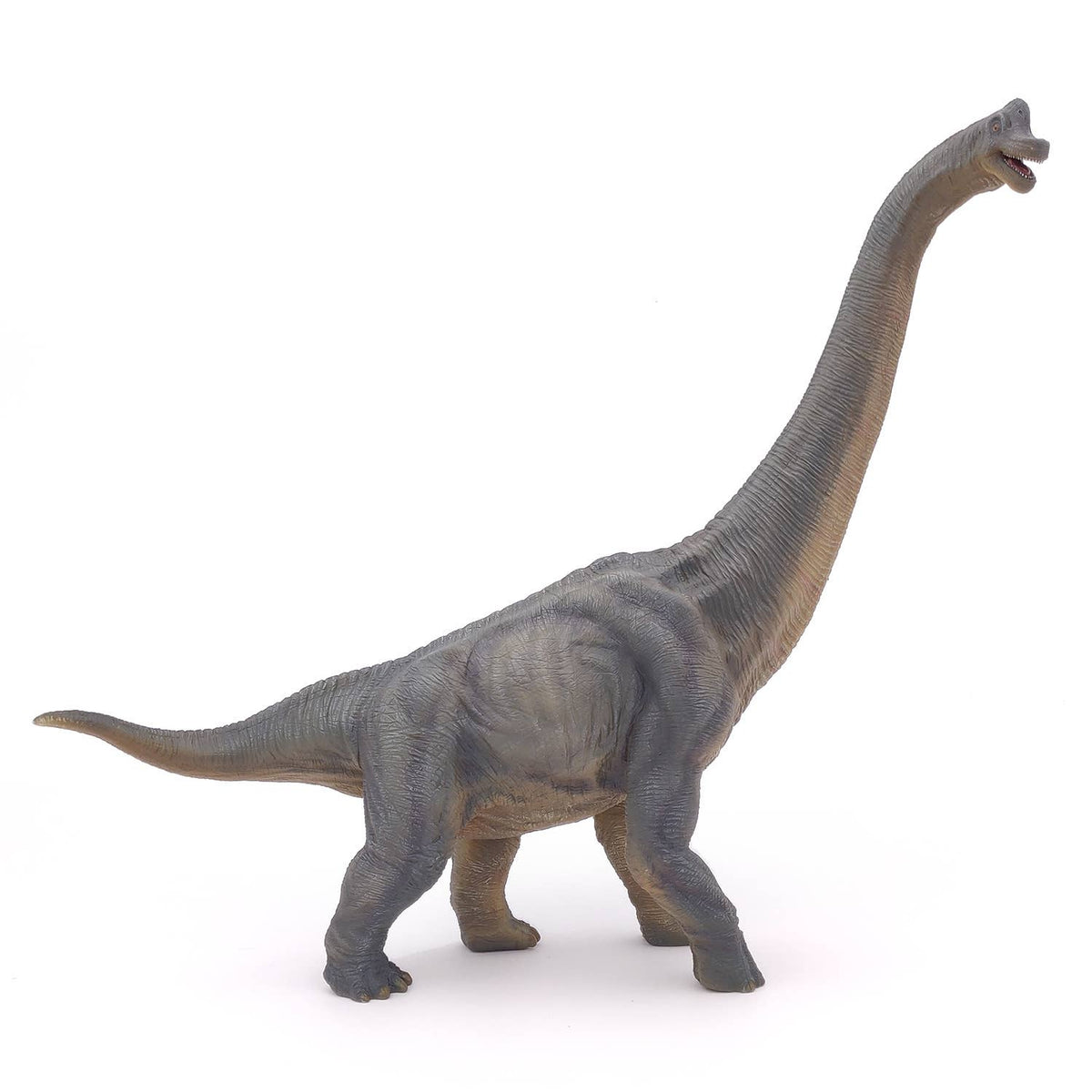 Brachiosaurus-Papo-Yellow Springs Toy Company