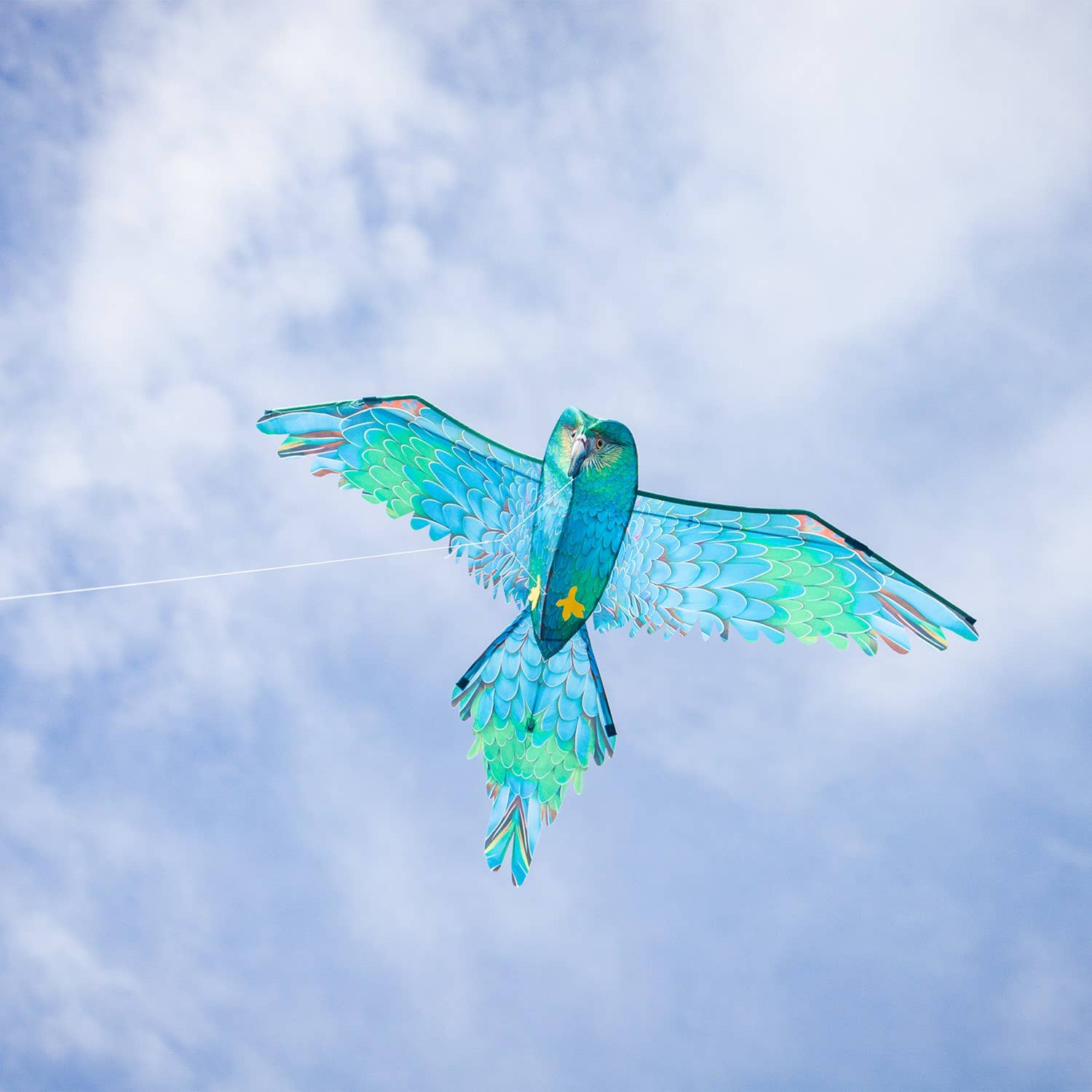 3D Blue Parrot Kite-In the Breeze, LLC.-Yellow Springs Toy Company