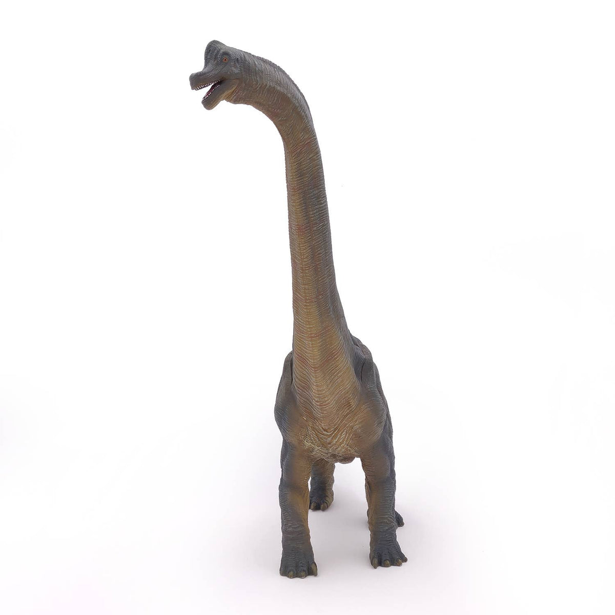 Brachiosaurus-Papo-Yellow Springs Toy Company