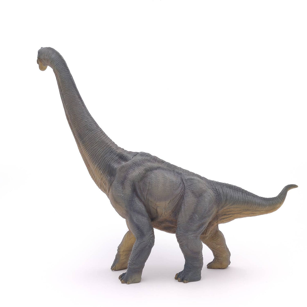 Brachiosaurus-Papo-Yellow Springs Toy Company