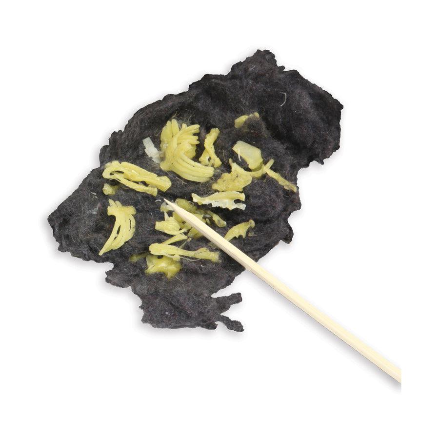 Owl Puke-Science &amp; Discovery-TEDCO Toys-Yellow Springs Toy Company