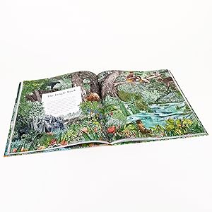 Fairy Tale Land: 12 Classic Tales Reimagined-Arts & Humanities-Texas Bookman-Yellow Springs Toy Company