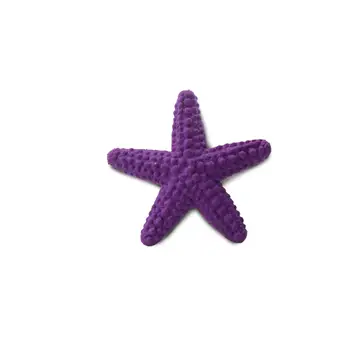Tiny realistic purple starfish