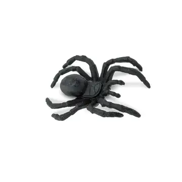 Tiny realistic black spider