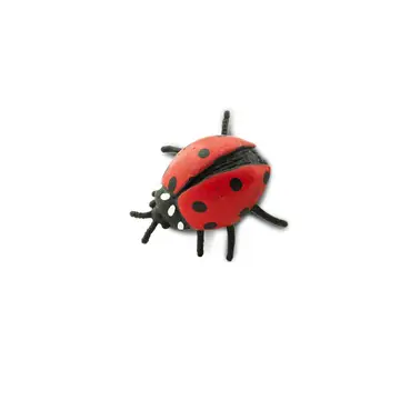 Tiny realistic ladybug