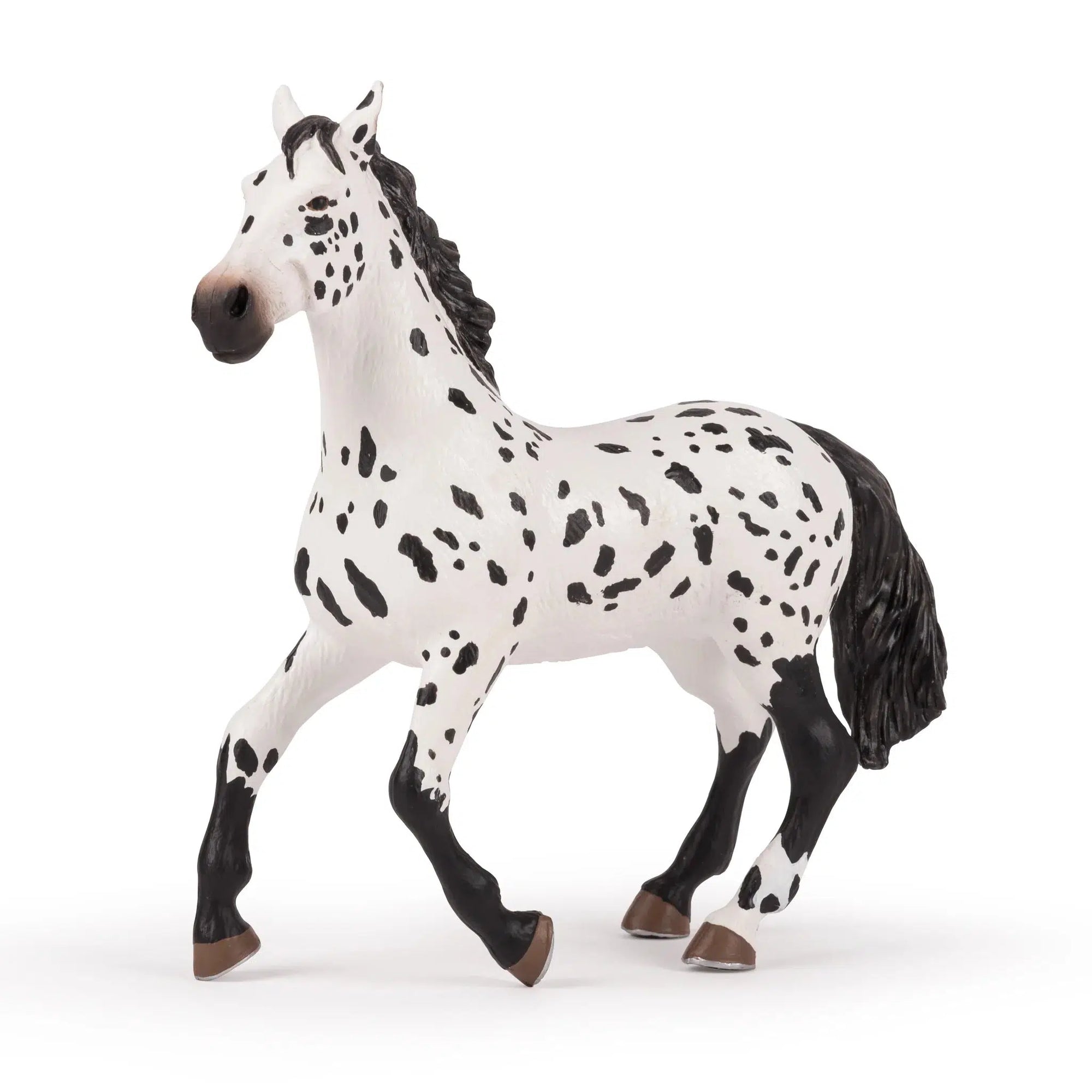 Front view of the large Appaloosa Horse against a white background.