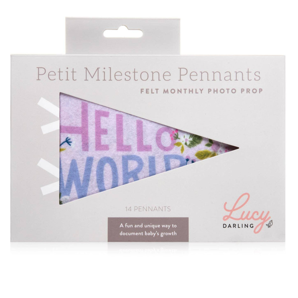 Little Artist Petit Milestone Pennant-Infant &amp; Toddler-Lucy Darling-Yellow Springs Toy Company
