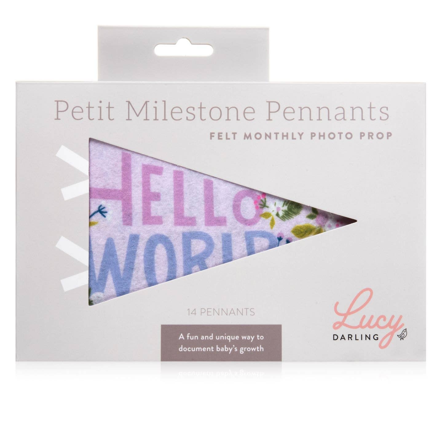 Little Artist Petit Milestone Pennant-Infant & Toddler-Lucy Darling-Yellow Springs Toy Company