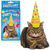 Front view of a cat sitting with the Party Hat - Inflatable For Cats on his head beside the box the hat comes in.