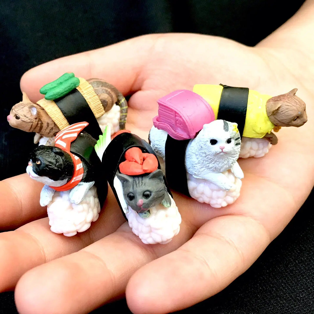 Front view of a person&#39;s hand holding 5 various styles of sushi cats in palm of hand.