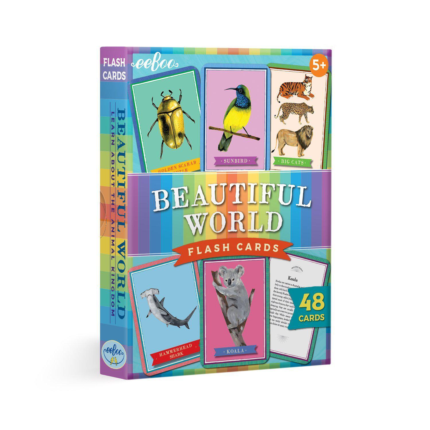 Package of Beautiful World conversation cards. 