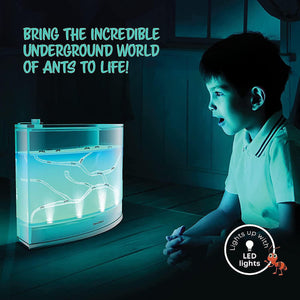 Front view of a child looking at a lit up ant habitat in a dark room. Text says "Bring the incredible underground world of ants to life!". 